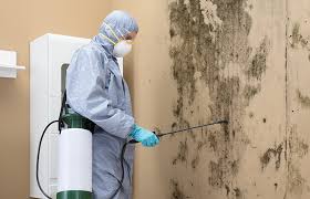 Best Biohazard Mold Removal  in Cross Roads, TX